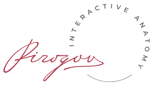 Pirogov Anatomy Interactive